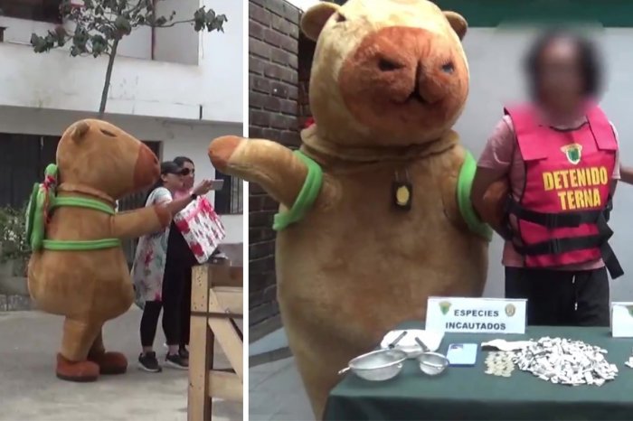 Ilustračný obrázok k článku KURIOZITA DŇA: Policajt prezlečený za KAPYBARU chytil drogového dílera