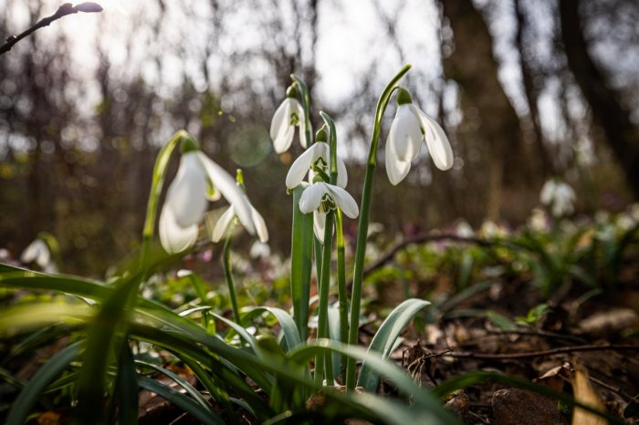 Ilustračný obrázok k článku Prichádza vytúžená JAR: Vieme, aké počasie prinesie! Pripravte sa na NADPRIEMERNÉ teplo