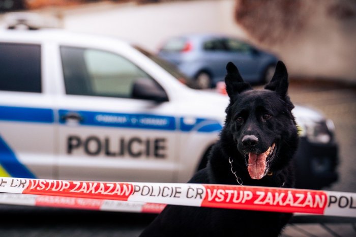 Ilustračný obrázok k článku OHAVNÝ prípad z Česka: Nevlastný otec mal UTÝRAŤ chlapčeka (†3)! Dieťa ZOMRELO