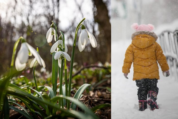 Ilustračný obrázok k článku Čaká nás KRÁSNY víkend s teplotami do +22 °C: Užite si ho! Po ňom hrozí návrat ZIMY