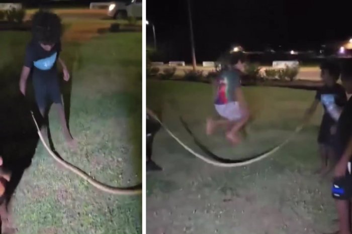 Ilustračný obrázok k článku Toto je možné len v Austrálii: Deti použili PYTÓNA ako švihadlo! VIDEO