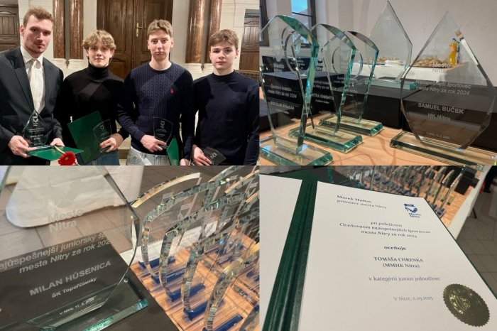 Ilustračný obrázok k článku Nitra ocenila úspešných ŠPORTOVCOV: Triumf Bučeka a Húsenicu