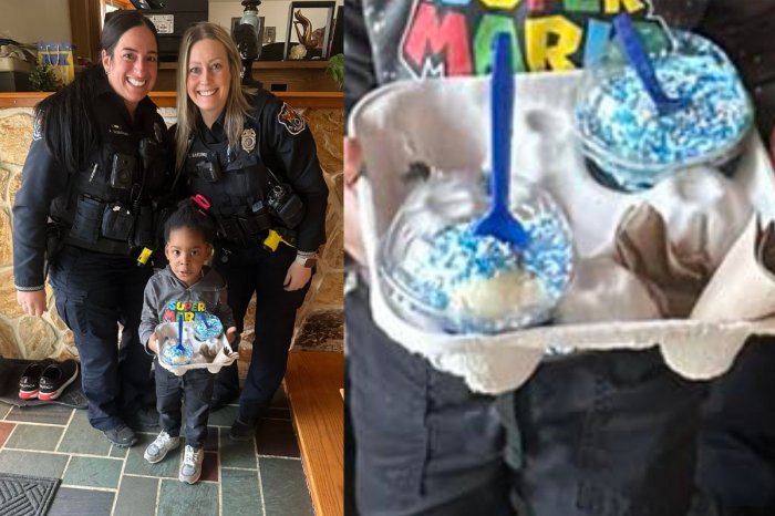 Ilustračný obrázok k článku Chlapček zavolal na mamu policajtov, lebo mu ZJEDLA zmrzlinu: Takúto reakciu NEČAKAL