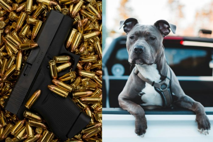 Ilustračný obrázok k článku Policajta vzali do väzby! Družke sa so zbraňou v ruke VYHRÁŽAL zastrelením psov