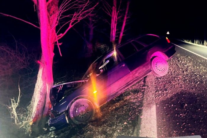 Ilustračný obrázok k článku KURIÓZNE prípady OPITÝCH nevodičov: Jeden napálil do stromu a druhý ŠOKOVAL ešte viac