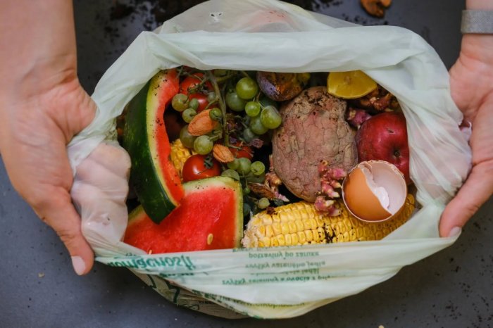 Ilustračný obrázok k článku Zbavte sa kuchynského bioodpadu! V Bratislave ho budú odvážať ČASTEJŠIE