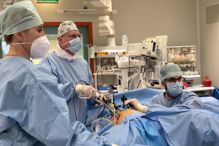 Ilustračný obrázok k článku Rooseveltova nemocnica drží PRVENSTVO: V tomto TYPE operácií je slovenským lídrom, FOTO