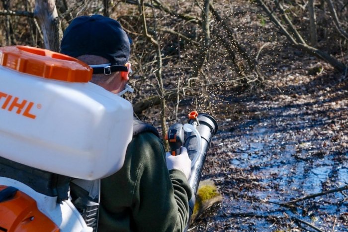 Ilustračný obrázok k článku Zachytili prvé liahniská: Hlavné mesto spustilo zásahy proti komárom!