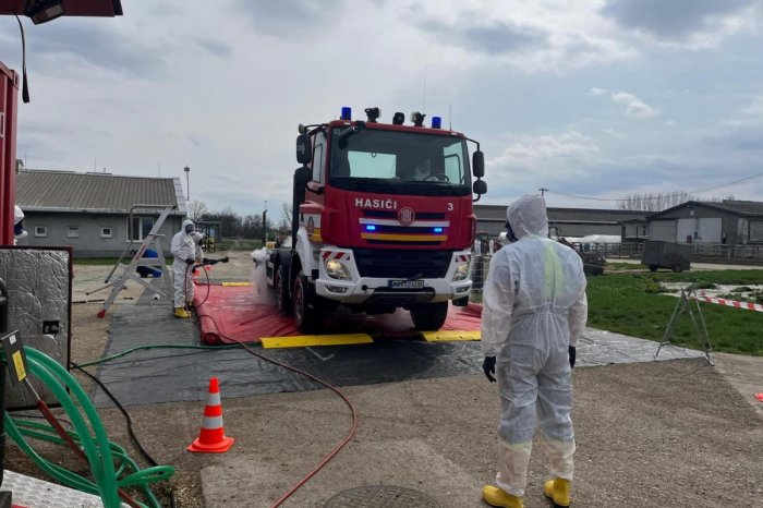 Ilustračný obrázok k článku Epidémia slintačky a krívačky: Analytik odhalil, či a ako ovplyvní CENY mäsa a mlieka!