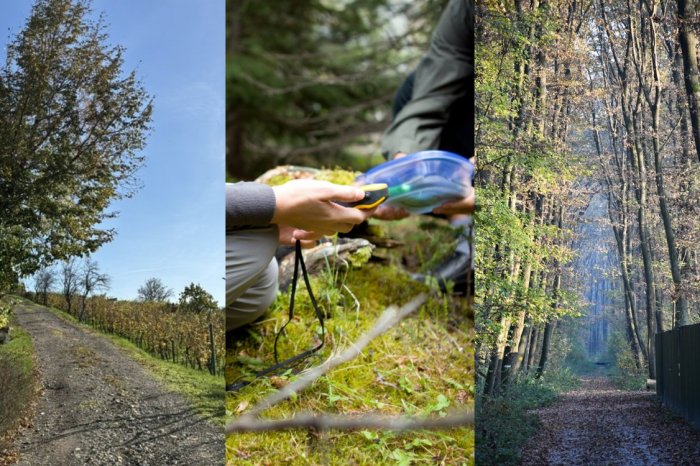 Ilustračný obrázok k článku OBJAVTE neznáme miesta MESTA: Žbrýlaj Nitrou!