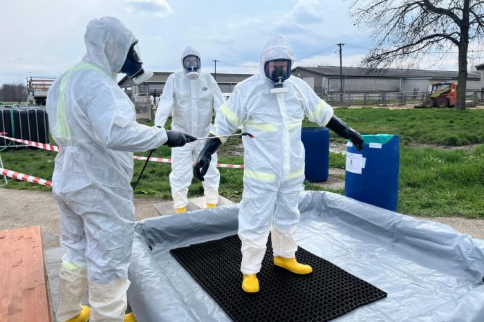 Ilustračný obrázok k článku Slintačka a krívačka v Trnavskom kraji: Vicežupan vraví, že vznikajú "rodinné drámy"