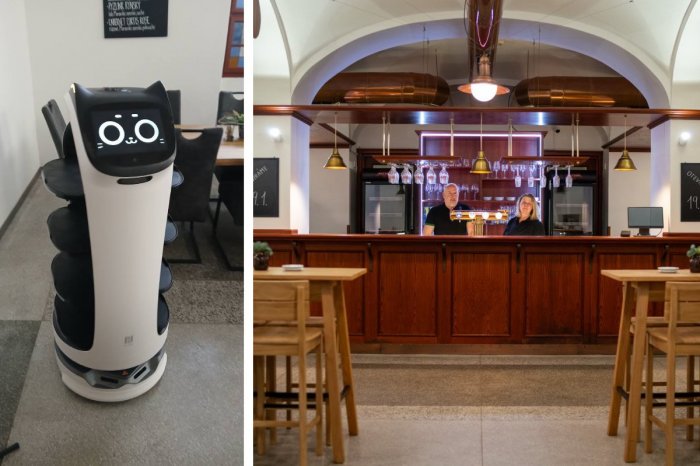 Ilustračný obrázok k článku UNIKÁT na skok od slovenských hraníc: Ako zo sci-fi! V reštaurácii vás obslúži ROBOT