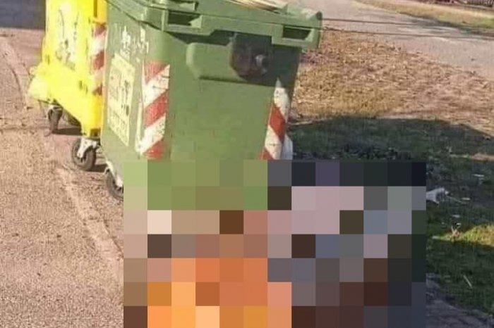 Ilustračný obrázok k článku NEUVERÍTE, čo niekto vyhodil ku kontajnerom: Nesadla veľkosť, BAVIA sa ľudia, FOTO