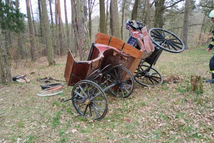 Ilustračný obrázok k článku HOROR počas vyhliadkovej jazdy: SPLAŠILI sa kone! Kočiar sa ROZMLÁTIL o stromy