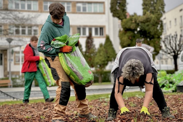 Ilustračný obrázok k článku V uliciach Bystrice POMÁHAJÚ aj študenti: Naberajú skúsenosti a SKRÁŠĽUJÚ mesto, FOTO