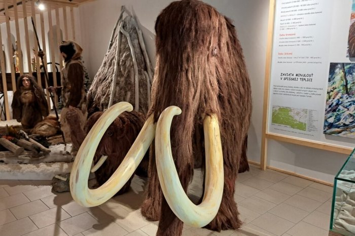 Ilustračný obrázok k článku Také exempláre len tak neuvidíte: Rado v Spišskej Teplici vyrábal mamuta 12 hodín denne