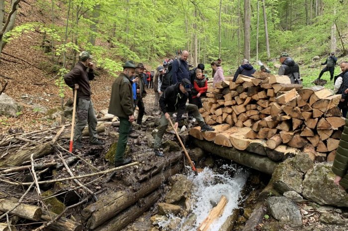 Ilustračný obrázok k článku TRADÍCIA opäť ožije: V srdci Slovenska sa bude PLAVIŤ drevo, na čo sa môžete tešiť?