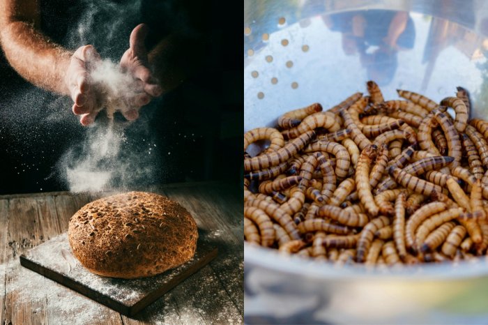 Ilustračný obrázok k článku Bojíte sa HMYZU v pečive? Slovenské mlyny v tom majú jasno! Vydali razantné STANOVISKO