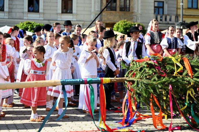 Ilustračný obrázok k článku Stavanie MÁJA bude lákať TRADÍCIAMI: O zábavu sa postarajú FOLKLORISTI