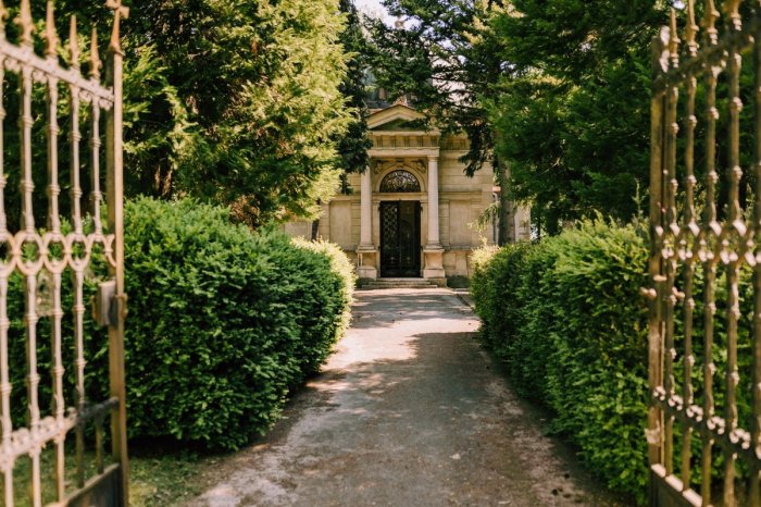 Ilustračný obrázok k článku Auto môžete nechať doma! Počas víkendov vás do Dolnej Krupej ZADARMO odvezie Krupanská fčela