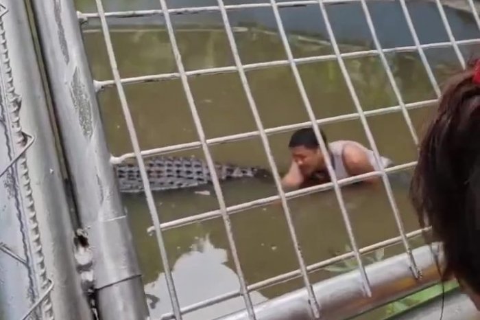 Ilustračný obrázok k článku Myslel si, že je to maketa: Muž vliezol do výbehu ku KROKODÍLOVI! Prišiel ÚTOK