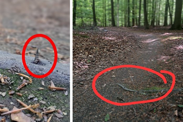 Ilustračný obrázok k článku ŠIALENÉ! Cyklisti sú zhrození: Na obľúbenej trase v lese niekto nastražil oceľové HROTY