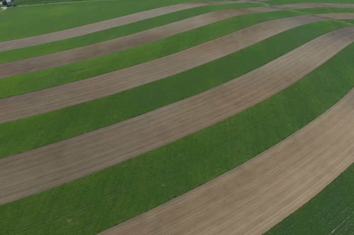 Ilustračný obrázok k článku Polia v KOLÍŇANOCH pútajú pozornosť: VIZUÁLNE zaujímavé riešenie CHRÁNI, FOTO