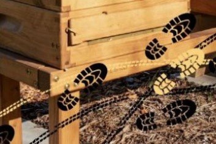 Ilustračný obrázok k článku CYKLOPOTULKY pokračujú! Poďte na BICYKLI na Včelárske slávnosti