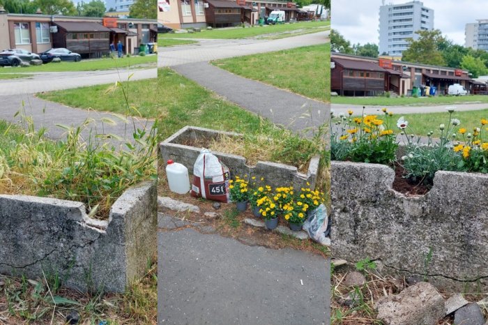 Ilustračný obrázok k článku To je SUPER nápad! Staré KVETINÁČE? Skupina obyvateľov im dáva nový ŽIVOT!