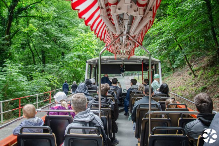 Ilustračný obrázok k článku Pripravte deťom nezabudnuteľný MDD: V Bratislave bude premávať CABRIOBUS