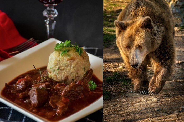 Ilustračný obrázok k článku Do slovenských reštaurácií mieri NOVINKA: Medvedie mäso sa môže dostať do ich ponuky