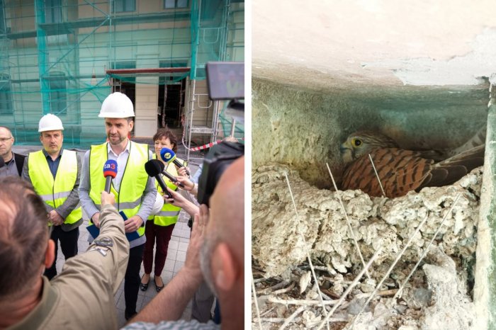 Ilustračný obrázok k článku KURIOZITA pri rekonštrukcii divadla: Harmonogram prác museli upraviť kvôli SOKOLOVI