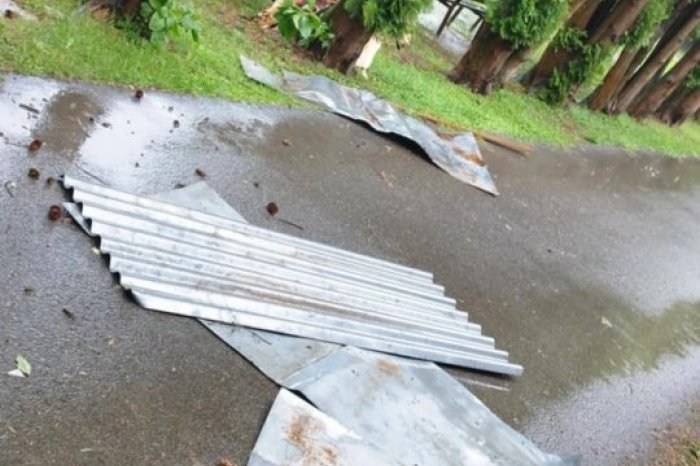 Ilustračný obrázok k článku Kolmanovu záhradu zasiahla silná PRIETRŽ mračien: Vyvrátila stromy a plechy