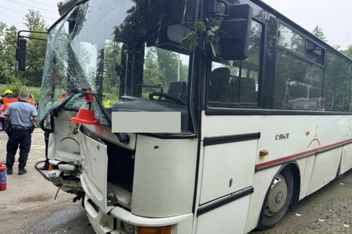 Ilustračný obrázok k článku HOROROVÁ nehoda: Autobus plný školákov vrazil do STROMU! Zranili sa desiatky detí