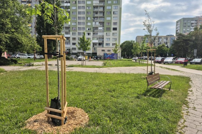 Ilustračný obrázok k článku Je to tam teraz oveľa krajšie: V mestskej časti Juh pribudli nové stromy, aj lavičky