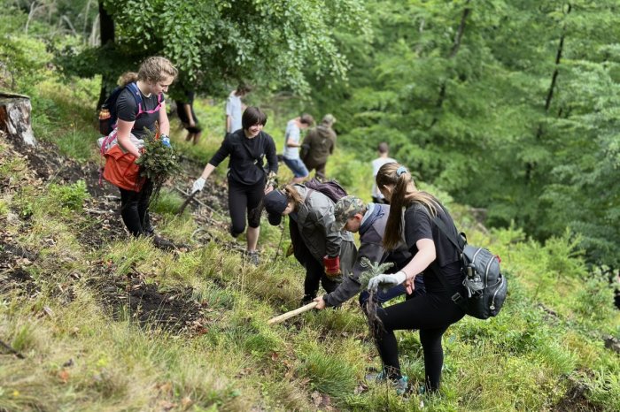 Ilustračný obrázok k článku Krásny EKOLOGICKÝ čin školákov: Svoju UHLÍKOVÚ stopu sa rozhodli vykompenzovať, FOTO