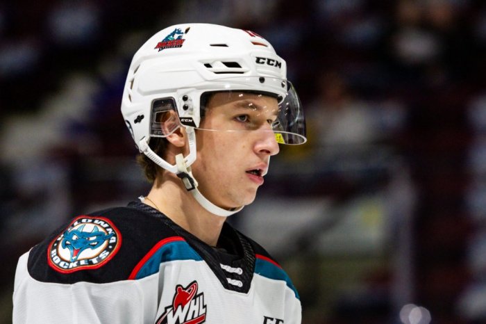 Ilustračný obrázok k článku Prichádza NOVÝ Corgoň! Kanaďan so slovenským PASOM