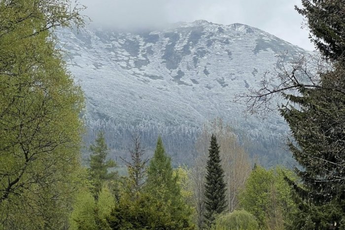 Ilustračný obrázok k článku Problém vo Vysokých Tatrách: Zastupiteľstvo konalo NEZÁKONNE, roky nerešpektovalo povinnosť