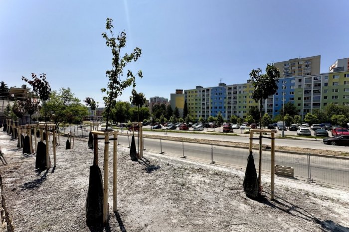 Ilustračný obrázok k článku ZABETÓNOVALI v krajskom svah? OMYL, ide o niečo úplne iné, FOTO