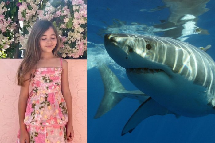 Ilustračný obrázok k článku HOROR na obľúbenej pláži: Dievčatko (9) napadol ŽRALOK! Takmer jej ODTRHOL ruku