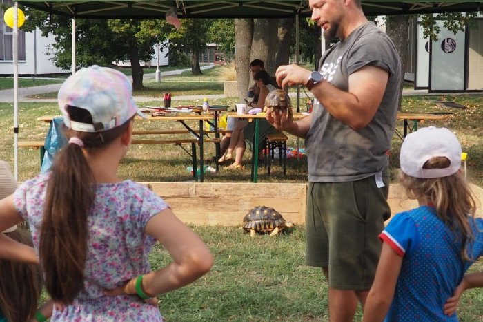 Ilustračný obrázok k článku Obľubujete HADY, pavúky či KORYTNAČKY? Cez víkend si na SPU užijete SVET fauny