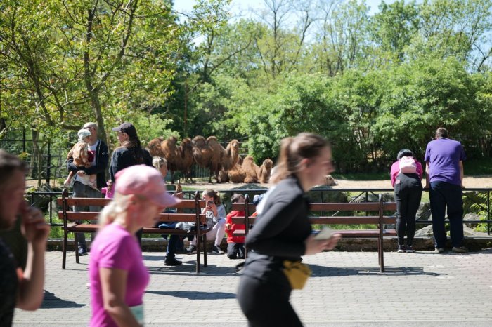 Ilustračný obrázok k článku Máte PROGRAM na víkend? V zoo lákajú na niekoľko PODUJATÍ