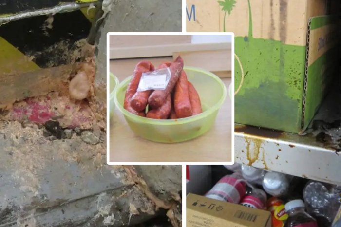 Ilustračný obrázok k článku HNUS, čo odhalili inšpektori počas kontrol potravín: STOVKY nedostatkov! FOTO