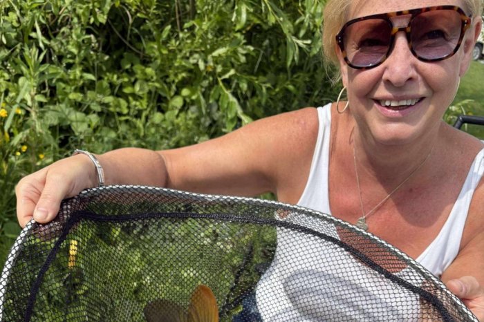 Ilustračný obrázok k článku Žena (†59) na dovolenke pohladila túlavého psa: Po návrate domov ZOMRELA