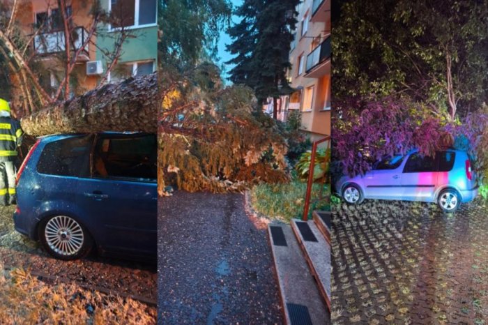 Ilustračný obrázok k článku Mesto VARUJE obyvateľov: V Nitre hrozí, že budú PADAŤ konáre! Vydalo sériu ODPORÚČANÍ