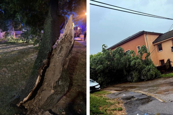 Ilustračný obrázok k článku Vietor LÁMAL stromy ako zápalky: Hasiči mali v kraji pre búrky viac ako 100 výjazdov