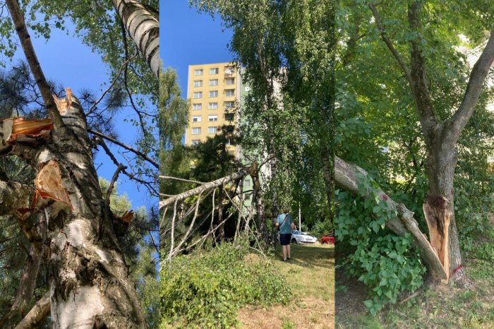 Ilustračný obrázok k článku Nitra po BÚRKE: Mesto sa UPRATUJE od rána, FOTO