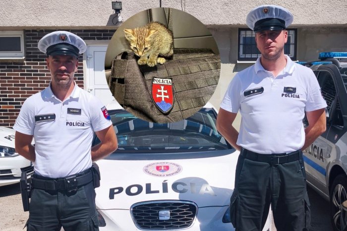 Ilustračný obrázok k článku Anjeli v UNIFORME: Jeden si ADOPTOVAL mačiatko, ďalší pomohli OPRAVIŤ auto