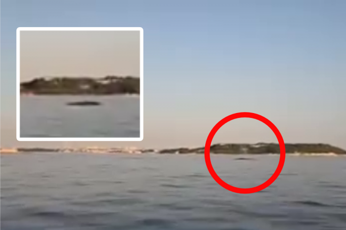 Ilustračný obrázok k článku Obrovské PREKVAPENIE v Chorvátsku: V mori sa objavila VEĽRYBA! VIDEO