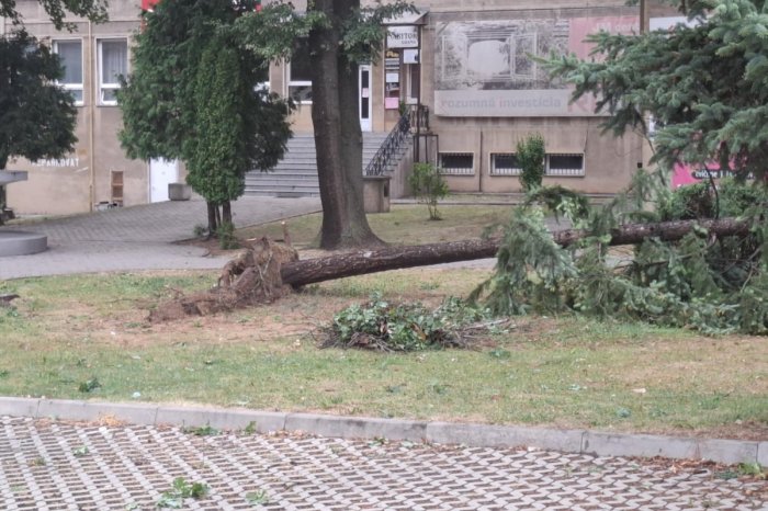 Ilustračný obrázok k článku V Prešove už primátor Oľha ODVOLAL mimoriadnu situáciu: Škody na zeleni sú však ROZSIAHLE